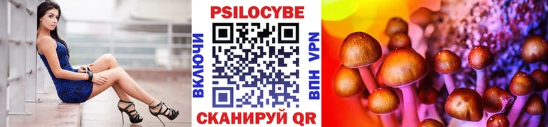 Купить где  Спас-Клепики  Галлюциногенные грибы MAGIC MUSHROOMS 